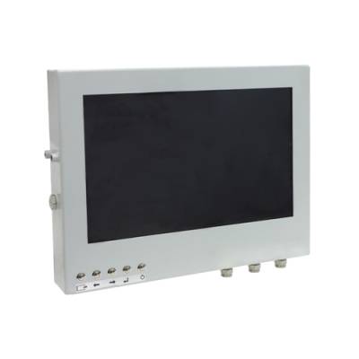 Монитор «Релион» ВПУ-Exm-Н-LCD-21 исп. 02